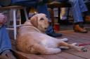 dsc01638.JPG